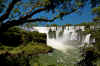 Iguazu.jpg (393291 byte)