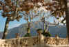 Villa_Balbianello12.jpg (330781 byte)