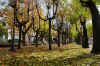 VillaComunale.jpg (612220 byte)