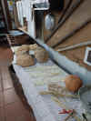 Museo.jpg (118982 byte)