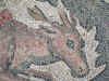 VillaCasale7.jpg (353393 byte)
