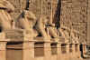 Karnak20.jpg (806877 byte)