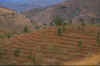 Konso6.jpg (51003 byte)