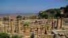 TempioApollo.jpg (228092 byte)