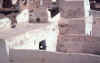 Ghadames1.jpg (98355 byte)