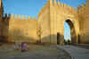 Fez7.jpg (205855 byte)