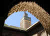 Fez8.jpg (221303 byte)