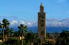 Marrakech14.jpg (793545 byte)