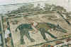 MosaicoAcrobata.jpg (158668 byte)