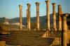 Volubilis2.jpg (238831 byte)