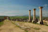 Volubilis3.jpg (219516 byte)
