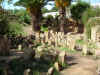 Cartagine4.jpg (183350 byte)