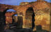TermeAntonino.jpg (109198 byte)