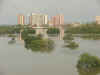 SaoLuis8.jpg (97502 byte)