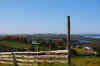 Chiloe5.jpg (145504 byte)