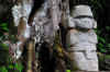 SanAgustin10.jpg (332379 byte)