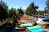 Xochimilco3.jpg (311716 byte)