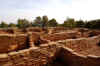 MesaVerde11.jpg (270587 byte)