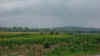 Hopeton_Earthworks_wall.jpg (407035 byte)