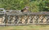 AngkorThom10.jpg (379334 byte)