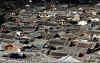Lijiang11.jpg (395373 byte)