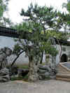 Giardino5.jpg (308729 byte)
