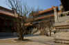 PalazzoEstate13.jpg (846004 byte)