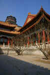 PalazzoEstate7.jpg (656770 byte)
