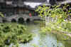 Hangzhou10.jpg (370175 byte)