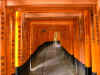 Kyoto9.jpg (247272 byte)