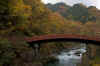 Nikko5.jpg (297191 byte)