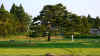 Hiraizumi2.jpg (251093 byte)