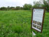 TagoyanoShellMound.jpg (518629 byte)