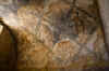 Qusayr5.jpg (269502 byte)
