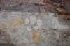 Bhimbetka10.jpg (278612 byte)