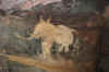 Bhimbetka7.jpg (247851 byte)