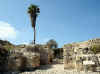 Megiddo7.jpg (96276 byte)