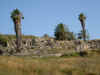 Megiddo8.jpg (106834 byte)