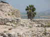 Megiddo.jpg (351345 byte)