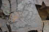 Tanbaly5.jpg (327285 byte)