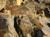Tanbaly9.jpg (105687 byte)