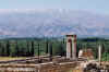 Anjar3.jpg (380476 byte)