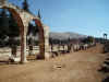 Anjar5.jpg (340751 byte)