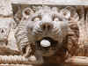 Baalbek7.jpg (345737 byte)