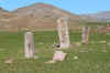 Cervo9.jpg (1064617 byte)