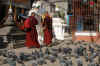 Kathmandu16.jpg (674923 byte)