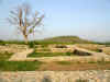 Taxila5.jpg (395171 byte)
