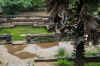 Polonnaruwa11.jpg (440563 byte)