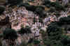 Berat6.jpg (380436 byte)