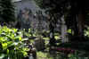 CimiteroSanPietro.jpg (210111 byte)
